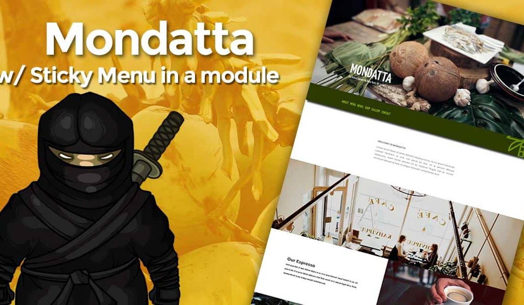Download Mondatta custom Divi landing page