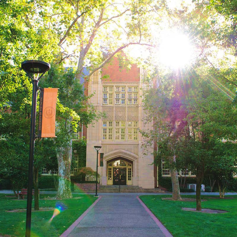 University of the Pacific website project