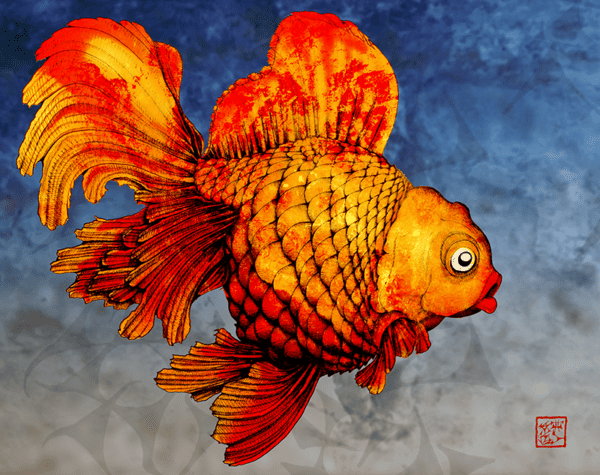 Ryukin the Big Goldfish for Harney Sushi