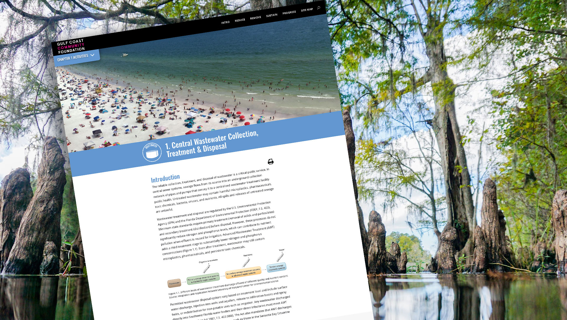 Educational Divi website by Divi Dojo